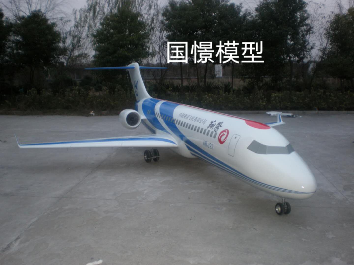 长白朝鲜族自治县飞机模型